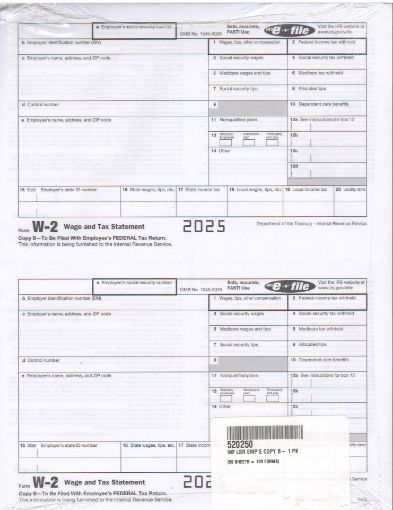 Picture of 5202 | W-2 Employee Copy B