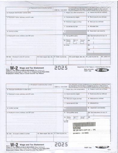 Picture of 5203 | W-2 Employee Copy C or Copy 2